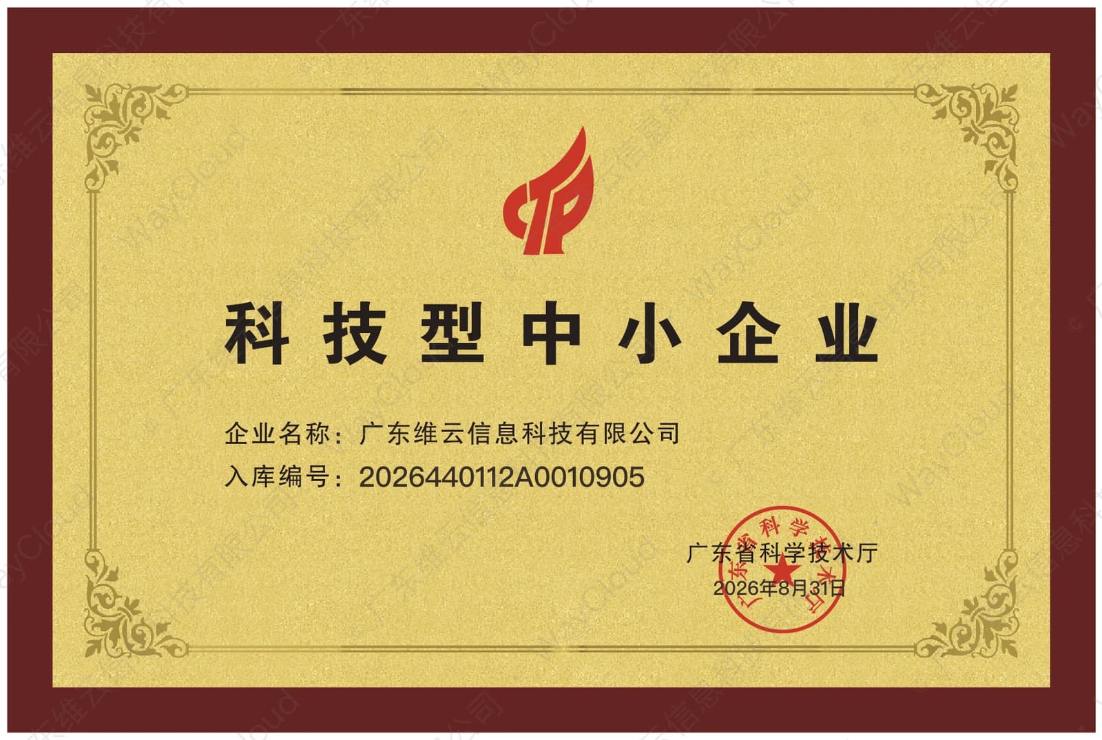 科技型中小企业
